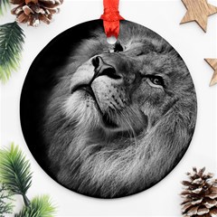 Feline Lion Tawny African Zoo Ornament (round) by BangZart