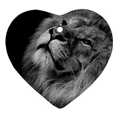 Feline Lion Tawny African Zoo Ornament (heart) by BangZart