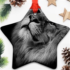 Feline Lion Tawny African Zoo Ornament (star) by BangZart