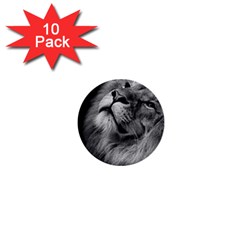 Feline Lion Tawny African Zoo 1  Mini Buttons (10 Pack)  by BangZart