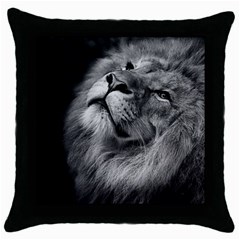 Feline Lion Tawny African Zoo Throw Pillow Case (black) by BangZart