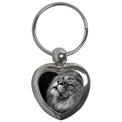 Feline Lion Tawny African Zoo Key Chains (heart)  by BangZart