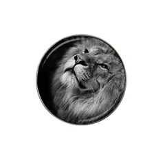 Feline Lion Tawny African Zoo Hat Clip Ball Marker by BangZart