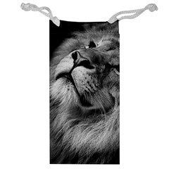 Feline Lion Tawny African Zoo Jewelry Bag by BangZart