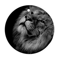 Feline Lion Tawny African Zoo Round Ornament (two Sides) by BangZart