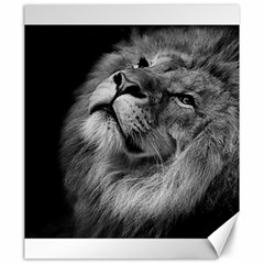 Feline Lion Tawny African Zoo Canvas 20  X 24   by BangZart