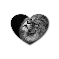 Feline Lion Tawny African Zoo Rubber Coaster (heart)  by BangZart