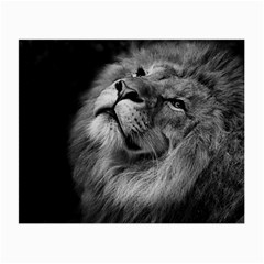 Feline Lion Tawny African Zoo Small Glasses Cloth (2-side) by BangZart