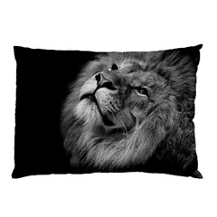 Feline Lion Tawny African Zoo Pillow Case by BangZart