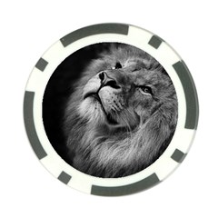 Feline Lion Tawny African Zoo Poker Chip Card Guard (10 Pack) by BangZart