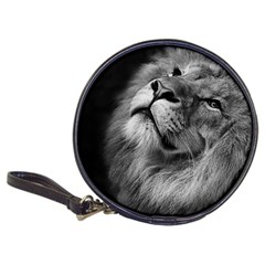 Feline Lion Tawny African Zoo Classic 20-cd Wallets by BangZart