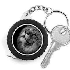 Feline Lion Tawny African Zoo Measuring Tape by BangZart