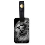 Feline Lion Tawny African Zoo Luggage Tags (One Side)  Front