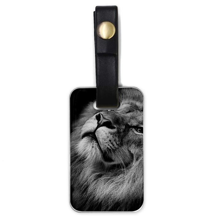 Feline Lion Tawny African Zoo Luggage Tags (One Side) 