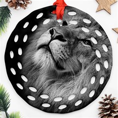 Feline Lion Tawny African Zoo Ornament (round Filigree) by BangZart