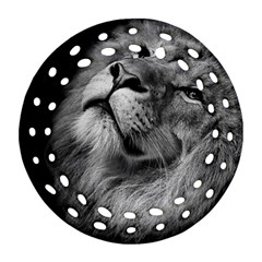 Feline Lion Tawny African Zoo Round Filigree Ornament (two Sides) by BangZart