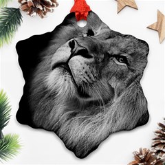 Feline Lion Tawny African Zoo Snowflake Ornament (two Sides) by BangZart