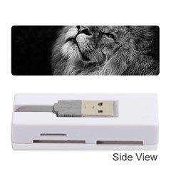 Feline Lion Tawny African Zoo Memory Card Reader (stick) 