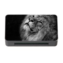 Feline Lion Tawny African Zoo Memory Card Reader With Cf by BangZart