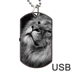 Feline Lion Tawny African Zoo Dog Tag Usb Flash (one Side) by BangZart