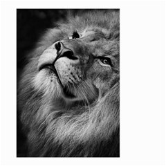 Feline Lion Tawny African Zoo Small Garden Flag (two Sides) by BangZart