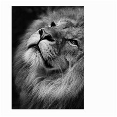 Feline Lion Tawny African Zoo Large Garden Flag (two Sides) by BangZart