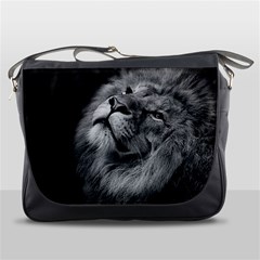 Feline Lion Tawny African Zoo Messenger Bags by BangZart