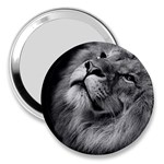 Feline Lion Tawny African Zoo 3  Handbag Mirrors Front