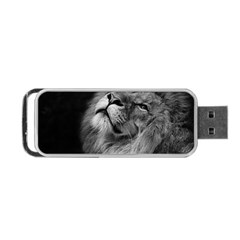 Feline Lion Tawny African Zoo Portable Usb Flash (one Side) by BangZart