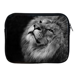 Feline Lion Tawny African Zoo Apple Ipad 2/3/4 Zipper Cases by BangZart