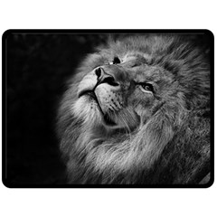 Feline Lion Tawny African Zoo Double Sided Fleece Blanket (large)  by BangZart