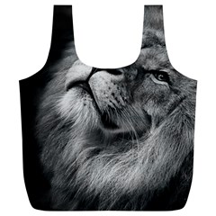 Feline Lion Tawny African Zoo Full Print Recycle Bags (l)  by BangZart