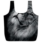 Feline Lion Tawny African Zoo Full Print Recycle Bags (L)  Front