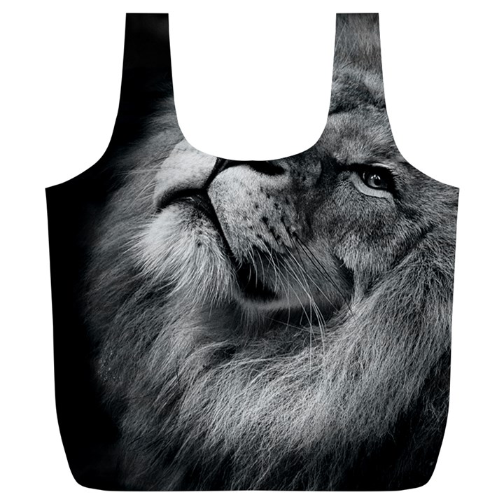 Feline Lion Tawny African Zoo Full Print Recycle Bags (L) 