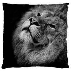 Feline Lion Tawny African Zoo Standard Flano Cushion Case (one Side) by BangZart