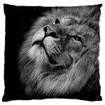 Feline Lion Tawny African Zoo Standard Flano Cushion Case (One Side) Front