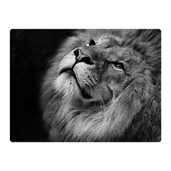 Feline Lion Tawny African Zoo Double Sided Flano Blanket (mini)  by BangZart