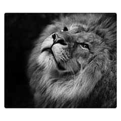 Feline Lion Tawny African Zoo Double Sided Flano Blanket (small)  by BangZart