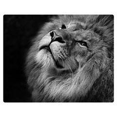 Feline Lion Tawny African Zoo Double Sided Flano Blanket (medium)  by BangZart