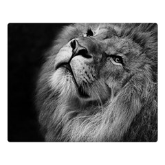 Feline Lion Tawny African Zoo Double Sided Flano Blanket (large)  by BangZart