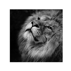 Feline Lion Tawny African Zoo Small Satin Scarf (square) by BangZart