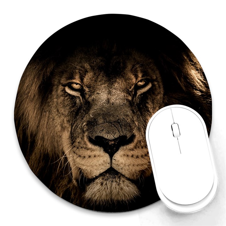 African Lion Mane Close Eyes Round Mousepads