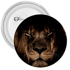 African Lion Mane Close Eyes 3  Buttons by BangZart