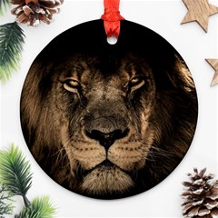 African Lion Mane Close Eyes Ornament (round) by BangZart