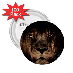 African Lion Mane Close Eyes 2 25  Buttons (100 Pack)  by BangZart