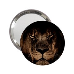 African Lion Mane Close Eyes 2 25  Handbag Mirrors by BangZart