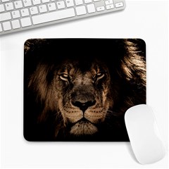 African Lion Mane Close Eyes Large Mousepads by BangZart