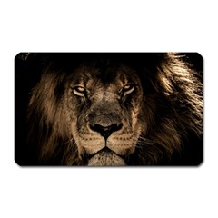 African Lion Mane Close Eyes Magnet (rectangular)