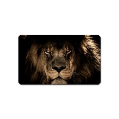 African Lion Mane Close Eyes Magnet (name Card) by BangZart