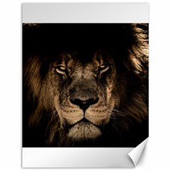 African Lion Mane Close Eyes Canvas 12  X 16   by BangZart